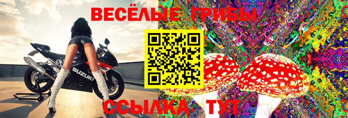 Псилоцибиновые грибы прущие грибы Малоярославец