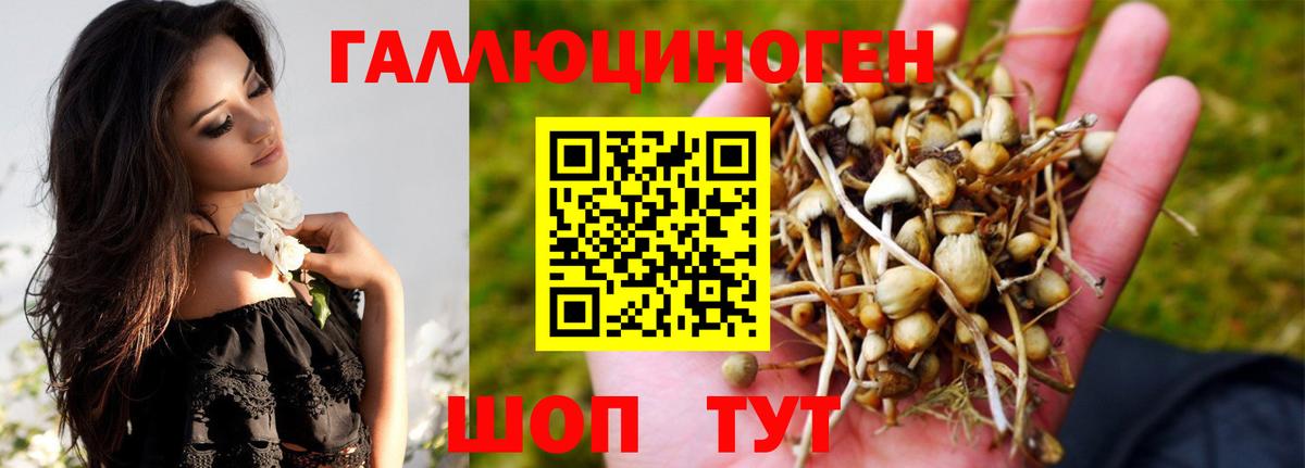 закладка  Псилоцибиновые грибы Cubensis  Вход с VPN  Малоярославец 